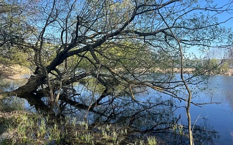 В Рязанской области потеплеет до +16°С, по метеозависимым ударит разница температур