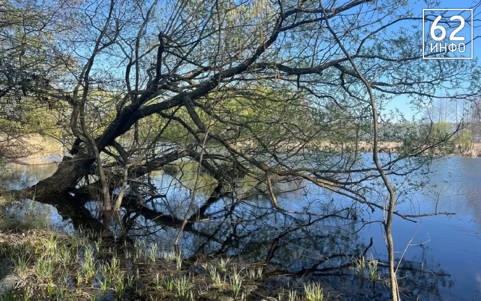 В Рязанской области потеплеет до +16°С, по метеозависимым ударит разница температур - 62ИНФО