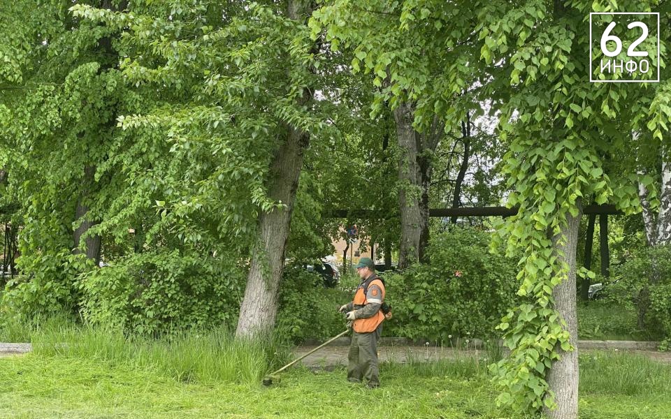 Парк Морской славы в Рязани обновят за 34 млн рублей - 62ИНФО