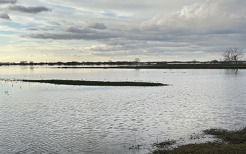 Ока падает, Мокша растет: половодье в Рязанской области 20 апреля