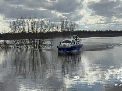 В Рязани уровень воды в Оке падает, в Касимове – растет