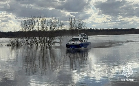 В Рязани уровень воды в Оке падает, в Касимове – растет