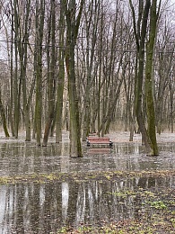 Половодье затопило Лесопарк в Рязани