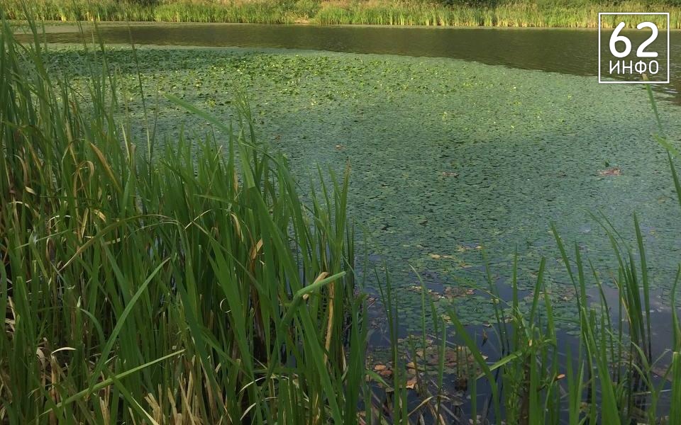 Рязанский Водоканал в суде ответит за сброс сточных вод в реку Бубенец - 62ИНФО