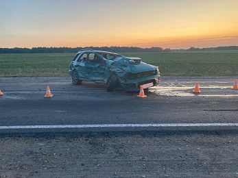 В Пронском районе 52-летняя женщина скончалась после аварии