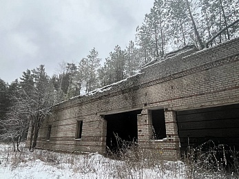 В рязанском лесу сфотографировали заброшки и лестницу в никуда - 62ИНФО В рязанском лесу сфотографировали заброшки и лестницу в никуда