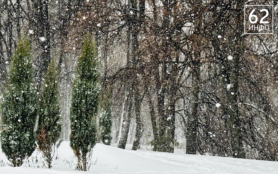 2 февраля в Рязанской области ожидается снег - 62ИНФО