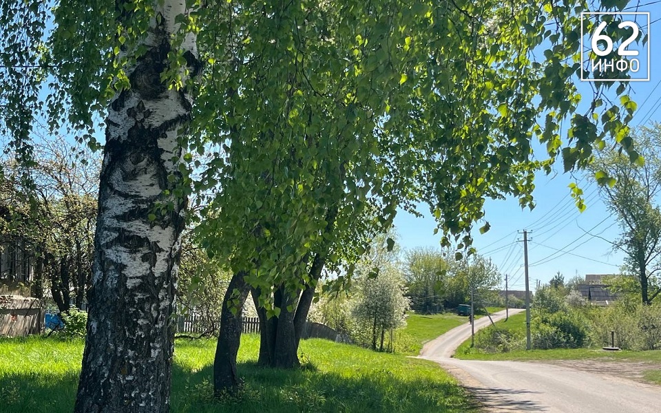 Рязанских аллергиков предупредили о рисках - 62ИНФО