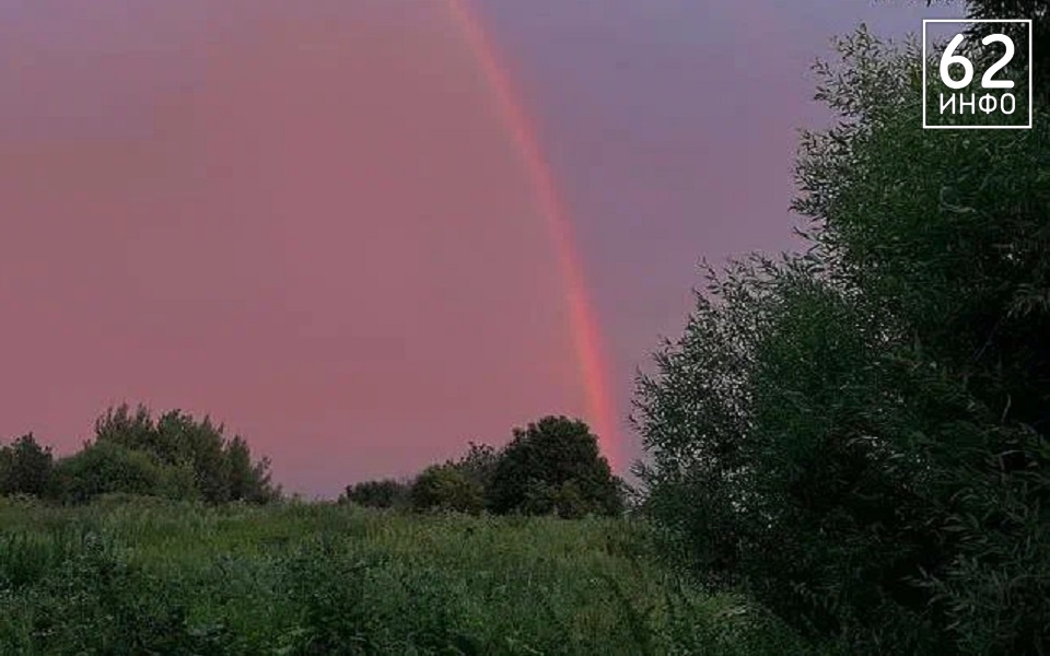 Рязанцев 17 мая ждет тепло в +24°С и южный ветер 11 м/с - 62ИНФО