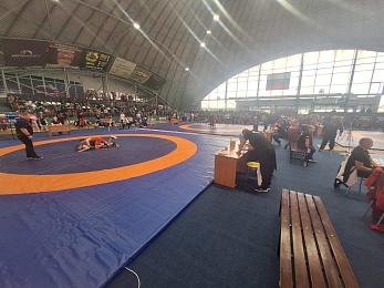 Рязань принимает Всероссийские соревнования по греко-римской борьбе среди юношей - 62ИНФО Рязань принимает Всероссийские соревнования по греко-римской борьбе среди юношей