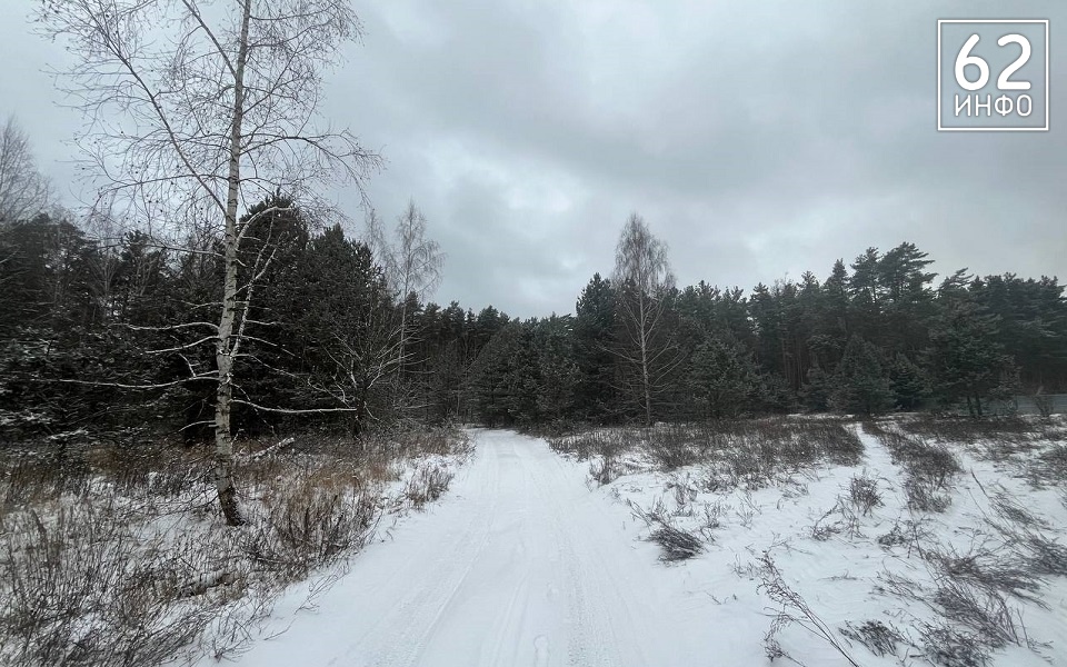 На дороге в лесу у Агро-Пустыни нашли застрявшую иномарку и труп - 62ИНФО