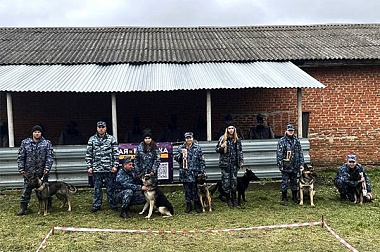 Собачье дело: в Рязанской области прошли сборы кинологов