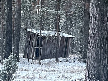 В рязанском лесу сфотографировали заброшки и лестницу в никуда - 62ИНФО В рязанском лесу сфотографировали заброшки и лестницу в никуда