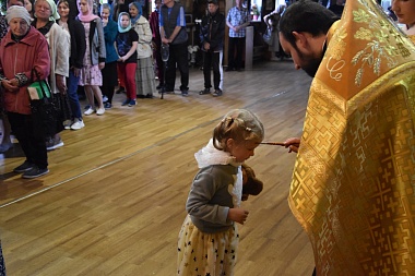 В Рязанскую область доставили мощи блаженной Матроны Московской и Николая Чудотворца