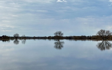 Рязанское море: фото разлива Оки