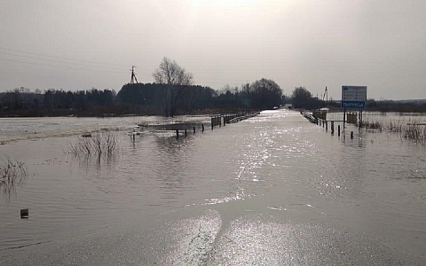 В Шиловском районе подтопило мост у села Терехово