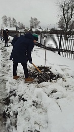 Рязанские школьники посадили дубовую аллею на родине Циолковского