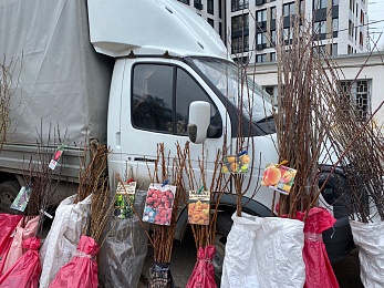 Рязанцы могут купить саженцы и рассаду на выставке «Сад-огород» до 23 апреля