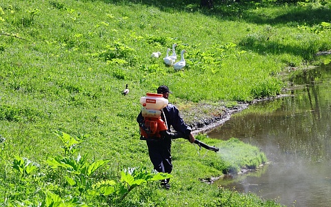В Рязани водоемы обрабатывают от личинок комаров