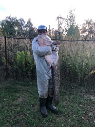 Рязанский рыбак добыл сома в 25,5 килограмма