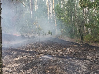 По ту сторону реки: как тушат пожары в рязанских лесах