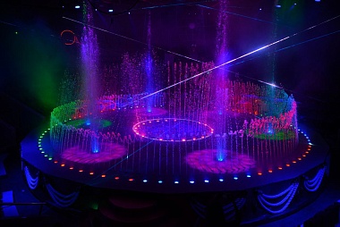 В Рязанском цирке провели «Открытую репетицию»