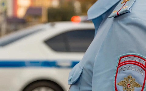 Рязанская Госавтоинспекция обнародовала дорожную сводку за сутки 