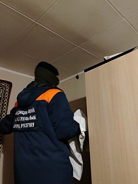 В Рязани волонтеры ловили в квартире на Соколовской летучую мышь