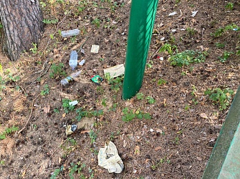 В Солотче лестница на Лысой горе опасна для отдыхающих