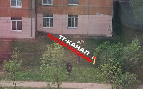 В Рязани мужчина выпал с четвертого этажа многоэтажки