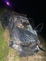 Рязанский водитель врезался в корову и погиб - 62ИНФО Рязанский водитель врезался в корову и погиб