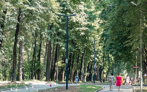 Рязанские парки и кладбища обработают от клещей, когда позволит погода