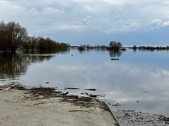 Рязанское море: фото разлива Оки