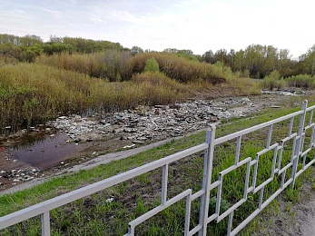 Рязанцы рассказали об огромной свалке вдоль Северной окружной дороги