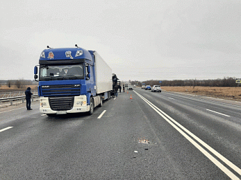 УМВД показало фото смертельного ДТП со Scania на трассе М5 в Шиловском районе