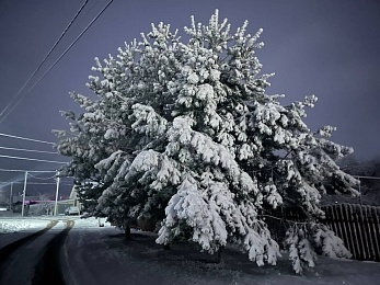 Снежное полнолуние марта сфотографировали в рязанской глубинке - 62ИНФО Снежное полнолуние марта сфотографировали в рязанской глубинке