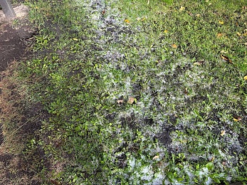 На Рязанскую область обрушился крупный град