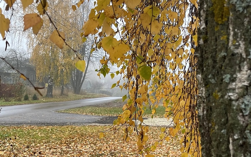В выходные в Рязанскую область придут дожди