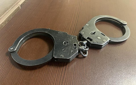 Рязанца поймали с крупной партией марихуаны в доме