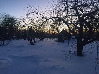 Рязанцы делятся фото первого снегопада в городе и в лесу