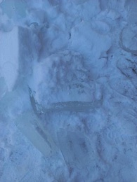 В Рязани сосулька пробила козырёк подъезда