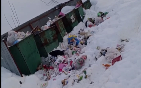 Рязанцы массово жалуются на проблемы с вывозом мусора