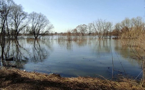 В двух районах Рязанской области 13 марта может подтопить мосты