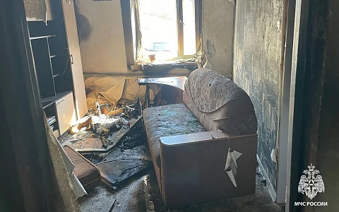 Двоих госпитализировали: в Рязанской области потушили 18 пожаров за неделю