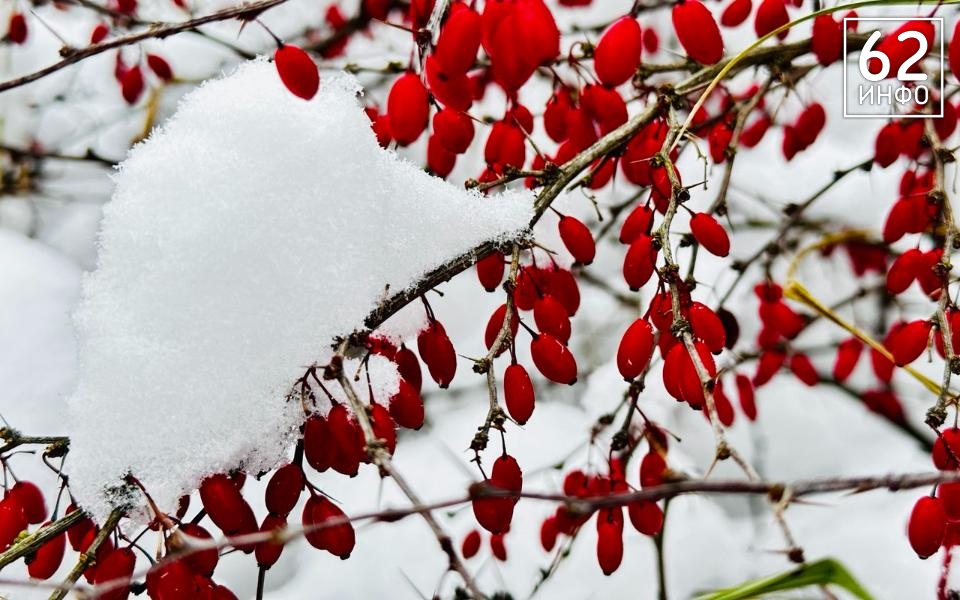 В Рязанской области 11 марта будут температурные качели в 20 градусов - 62ИНФО