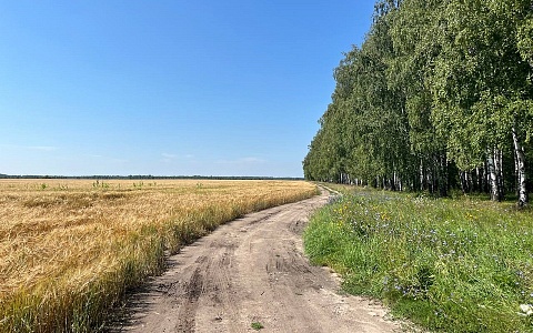 Рязанский СПК вернул в оборот 30 га сельхозземель после предписания