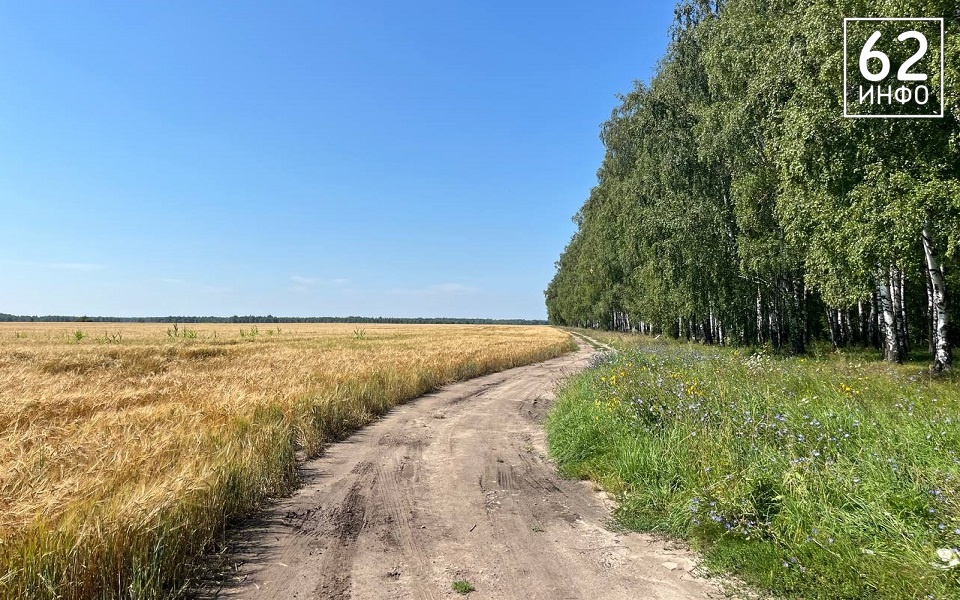 Рязанский СПК вернул в оборот 30 га сельхозземель после предписания - 62ИНФО