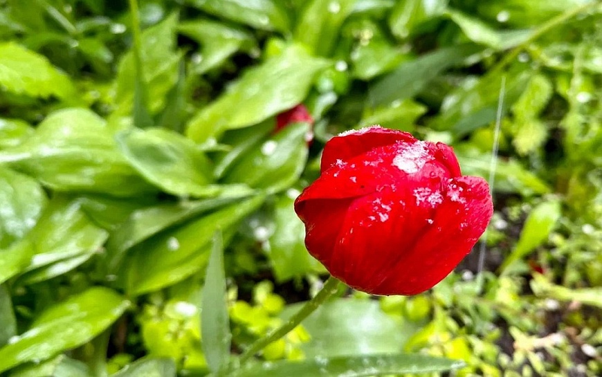 Месяц контрастов: какой будет погода в апреле в Рязанской области