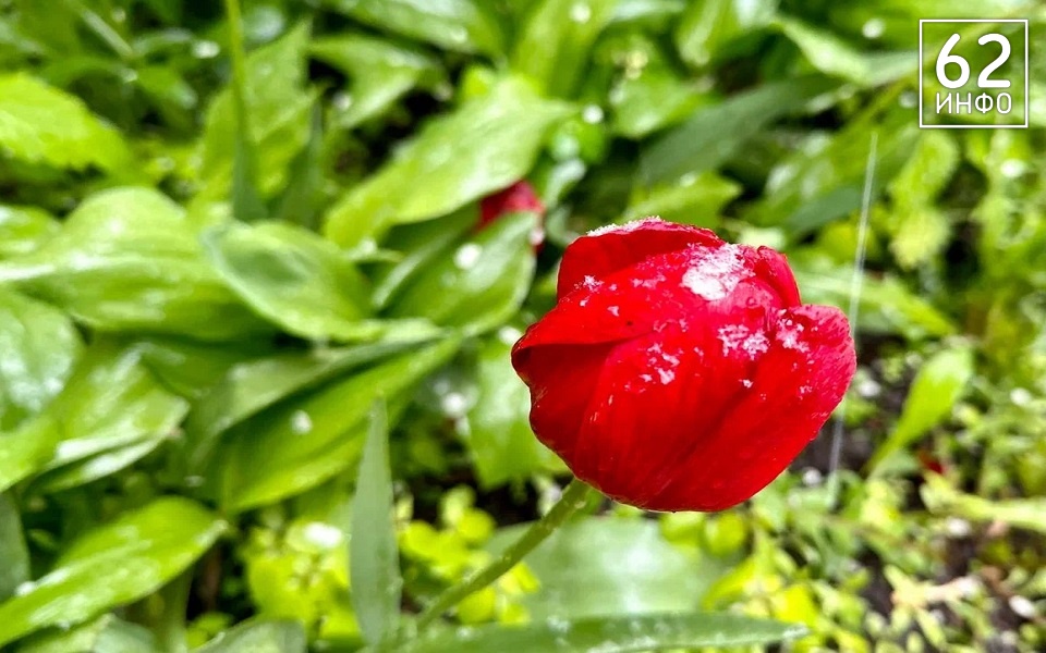 Месяц контрастов: какой будет погода в апреле в Рязанской области - 62ИНФО