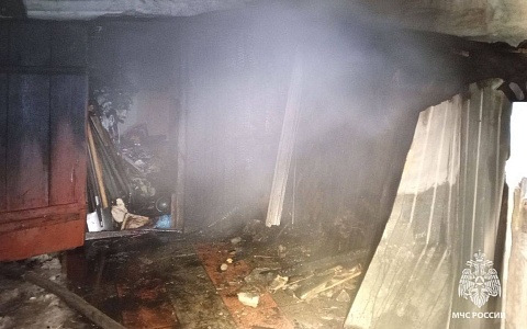 В Сасове 7 человек и 2 машины тушили хозпостройку